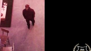 Jaylene Rio's tight pussy gets devoured & slammed hard by Rome Major's bareback cock