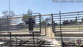 Curvy tattooed MILF Yolanda Yamz gets her pussy pounded outdoors by Rome Major's huge cock