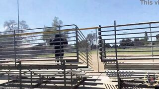 Watch Yolanda Yamz & Park Pounding in the Sun - Curvy Brunette MILF gets a BBC facial and a tattooed pussy pounding