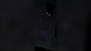 Caressa- Red Lingerie- Blowjob