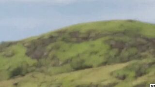 Ksal Hot calls his friend Robinho to fuck in an abandoned square in broad daylight. The hang gliding group records our fuck - 7 image