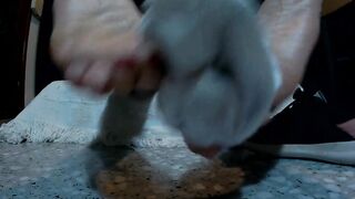 I Show you my Soft Feet while I Watch TV! Enjoy It!!