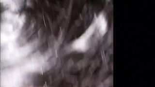 Lustie demon sucks n fucks a fan