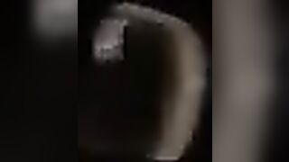 Abdomen Dancers, Freight Walk, Night Club, Oriental Angels, Craving.