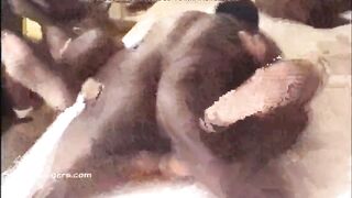 Part two of a interracial fuckfest in a Manhattan hotel. - RealMi - 7 image