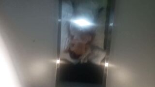 Fucking my dog in a hostel with mirrors on the ceiling