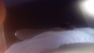 Fucking my dog in a hostel with mirrors on the ceiling - 3 image