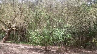 EXCURSION WITH MY STEPBROTHER - BLOWJOB ON THE MOUNTAIN - CUM IN MOUTH