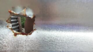 Caught through a closet hole outdoors