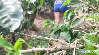 Deeptroath in coffee plantation