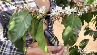 Deeptroath in coffee plantation