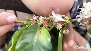 Deeptroath in coffee plantation