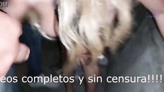 Exhibitionism and dogging in public park with strangers