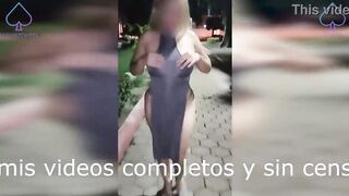 Exhibitionism and dogging in public park with strangers