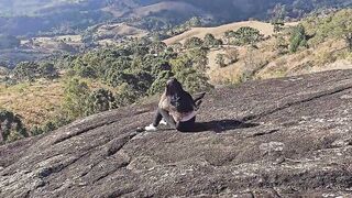 Hotwife Cuckold Tour Guide Bangs Her Ass While Wife Goes Wild in Jungle