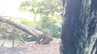 Gothic chick strokes a huge cock in the middle of the forest